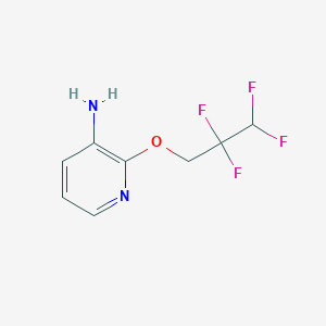 molecular formula C8H8F4N2O B1387114 2-(2,2,3,3-Tetrafluoropropoxy)pyridin-3-amine CAS No. 1039885-96-5