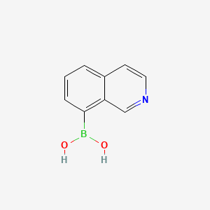 Isoquinolin-8-ylboronic acid