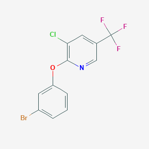 molecular formula C12H6BrClF3NO B1387192 2-(3-Bromophenoxy)-3-chloro-5-(trifluoromethyl)pyridine CAS No. 1041591-08-5