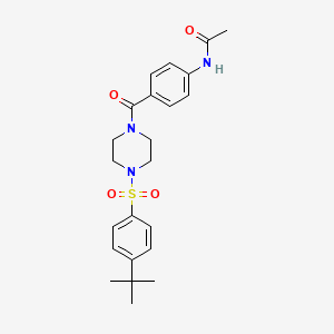 molecular formula C23H29N3O4S B13875056 N-[4-[4-(4-tert-butylphenyl)sulfonylpiperazine-1-carbonyl]phenyl]acetamide 