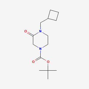 molecular formula C14H24N2O3 B13875790 Tert-butyl 4-(cyclobutylmethyl)-3-oxopiperazine-1-carboxylate 