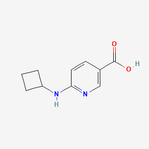 molecular formula C10H12N2O2 B1387612 6-(Cyclobutylamino)nicotinic acid CAS No. 960060-89-3