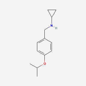 molecular formula C13H19NO B1388023 Cyclopropyl-(4-isopropoxybenzyl)-amine CAS No. 1095226-19-9