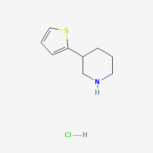molecular formula C9H14ClNS B1388028 3-(Thiophen-2-yl)piperidine hydrochloride CAS No. 877176-72-2