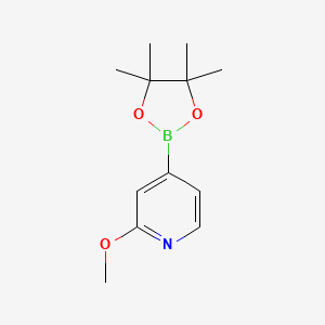 molecular formula C12H18BNO3 B1388195 2-Methoxy-4-(4,4,5,5-tetramethyl-1,3,2-dioxaborolan-2-yl)pyridine CAS No. 408502-23-8
