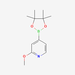 2-Methoxy-4-(4,4,5,5-tetramethyl-1,3,2-dioxaborolan-2-yl)pyridine