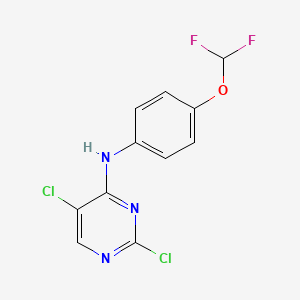 molecular formula C11H7Cl2F2N3O B13882489 2,5-dichloro-N-(4-(difluoromethoxy)phenyl)pyrimidin-4-amine 