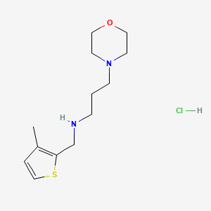 molecular formula C13H23ClN2OS B1388257 (3-Methyl-thiophen-2-ylmethyl)-(3-morpholin-4-YL-propyl)-amine hydrochloride CAS No. 1185294-58-9