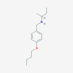 molecular formula C15H25NO B1388369 N-(4-Butoxybenzyl)-2-butanamine CAS No. 1040346-01-7