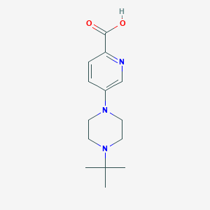 molecular formula C14H21N3O2 B13883801 5-(4-Tert-butylpiperazin-1-yl)pyridine-2-carboxylic acid 