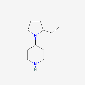 molecular formula C11H22N2 B13883914 4-(2-Ethylpyrrolidin-1-yl)piperidine 