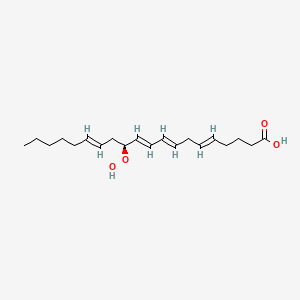 molecular formula C20H32O4 B13884934 (5E,8E,10E,12S,14E)-12-hydroperoxyicosa-5,8,10,14-tetraenoic acid 