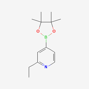 molecular formula C13H20BNO2 B1388497 2-Ethyl-4-(4,4,5,5-tetramethyl-1,3,2-dioxaborolan-2-yl)pyridine CAS No. 741709-60-4