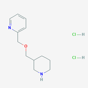 molecular formula C12H20Cl2N2O B1388508 2-[(3-Piperidinylmethoxy)methyl]pyridine dihydrochloride CAS No. 1184981-83-6