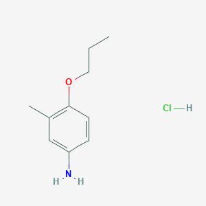 molecular formula C10H16ClNO B1388656 3-Methyl-4-propoxyaniline hydrochloride CAS No. 1185297-75-9