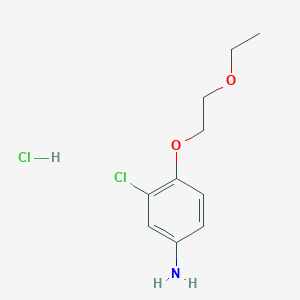 molecular formula C10H15Cl2NO2 B1388672 3-Chloro-4-(2-ethoxyethoxy)aniline hydrochloride CAS No. 1185304-55-5
