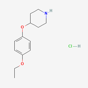 molecular formula C13H20ClNO2 B1388720 4-(4-Ethoxyphenoxy)piperidine hydrochloride CAS No. 1185303-15-4