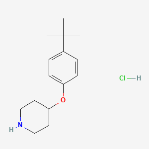 4-[4-(tert-Butyl)phenoxy]piperidine hydrochloride