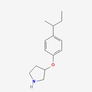 3-[4-(Sec-butyl)phenoxy]pyrrolidine