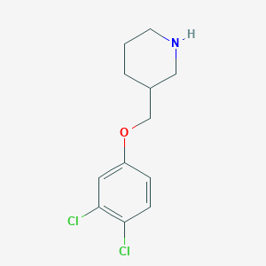 3-[(3,4-Dichlorophenoxy)methyl]piperidine