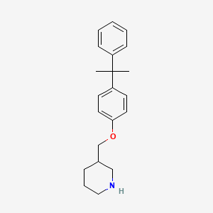 3-{[4-(1-Methyl-1-phenylethyl)phenoxy]-methyl}piperidine