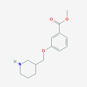 Methyl 3-(3-piperidinylmethoxy)benzoate
