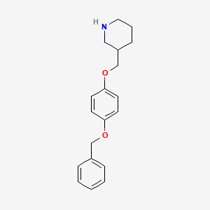 3-{[4-(Benzyloxy)phenoxy]methyl}piperidine