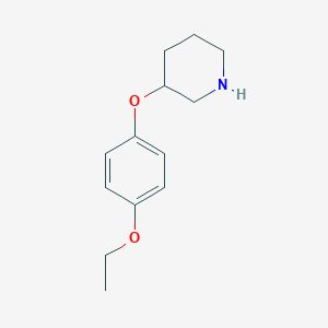 3-(4-Ethoxyphenoxy)piperidine