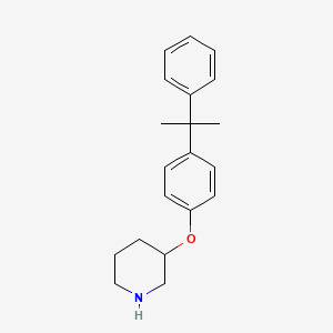 4-(1-Methyl-1-phenylethyl)phenyl 3-piperidinylether
