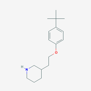 3-{2-[4-(tert-Butyl)phenoxy]ethyl}piperidine