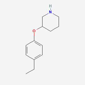 molecular formula C13H19NO B1388790 3-(4-Ethylphenoxy)piperidine CAS No. 946726-06-3