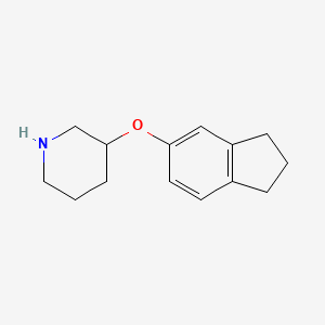 molecular formula C14H19NO B1388800 2,3-Dihydro-1H-inden-5-yl 3-piperidinyl ether CAS No. 946759-36-0