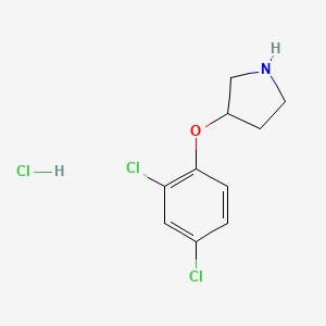 molecular formula C10H12Cl3NO B1388801 3-(2,4-Dichlorophenoxy)pyrrolidine hydrochloride CAS No. 1185298-23-0