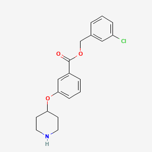 molecular formula C19H20ClNO3 B13888501 (3-Chlorophenyl)methyl 3-piperidin-4-yloxybenzoate 