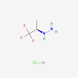 molecular formula C3H8ClF3N2 B13888591 [(1R)-2,2,2-trifluoro-1-methyl-ethyl]hydrazine;hydrochloride 
