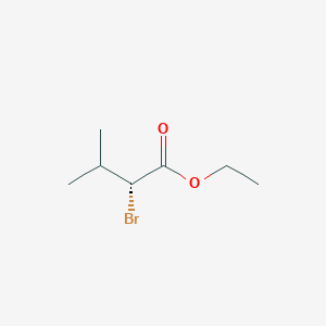 molecular formula C7H13BrO2 B13888791 Ethyl (R)-2-bromo-3-methylbutanoate 