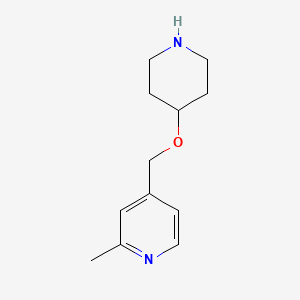 molecular formula C12H18N2O B13888924 2-Methyl-4-(piperidin-4-yloxymethyl)pyridine 