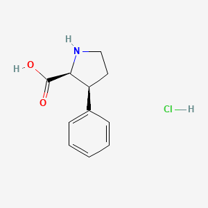 molecular formula C11H14ClNO2 B13889169 cis-3-Phenylpyrrolidine-2-carboxylic acid hydrochloride 