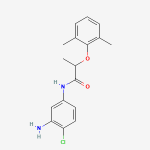 molecular formula C17H19ClN2O2 B1388923 N-(3-Amino-4-chlorophenyl)-2-(2,6-dimethylphenoxy)propanamide CAS No. 1020055-86-0