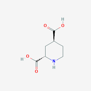 molecular formula C7H11NO4 B13889817 (2S,4S)-Piperidine-2,4-dicarboxylic acid 
