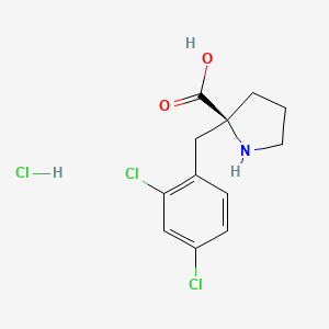 molecular formula C12H14Cl3NO2 B1389033 (S)-2-(2,4-Dichlorobenzyl)pyrrolidine-2-carboxylic acid hydrochloride CAS No. 1217610-34-8