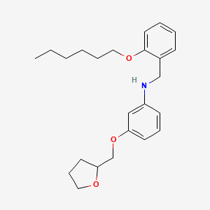 molecular formula C24H33NO3 B1389096 N-[2-(Hexyloxy)benzyl]-3-(tetrahydro-2-furanylmethoxy)aniline CAS No. 1040681-46-6