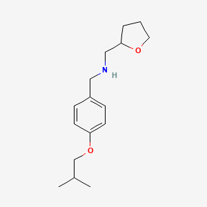 molecular formula C16H25NO2 B1389106 (4-Isobutoxyphenyl)-N-(tetrahydro-2-furanylmethyl)methanamine CAS No. 1040692-45-2
