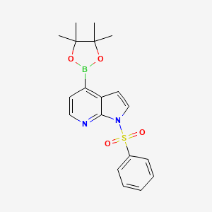 molecular formula C19H21BN2O4S B1389128 1-(Phenylsulfonyl)-4-(4,4,5,5-tetramethyl-1,3,2-dioxaborolan-2-YL)-1H-pyrrolo[2,3-B]pyridine CAS No. 942919-24-6