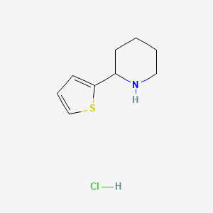 molecular formula C9H14ClNS B1389137 2-(Thiophen-2-yl)piperidine hydrochloride CAS No. 1187173-82-5