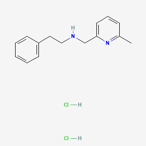 molecular formula C15H20Cl2N2 B1389141 N-[(6-Methylpyridin-2-YL)methyl]-2-phenylethanamine dihydrochloride CAS No. 1185296-73-4