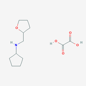 molecular formula C12H21NO5 B1389164 Cyclopentyl-(tetrahydro-furan-2-ylmethyl)-amine oxalate CAS No. 1185293-96-2