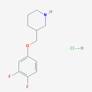molecular formula C12H16ClF2NO B1389169 3-((3,4-Difluorophenoxy)methyl)piperidine hydrochloride CAS No. 1185293-04-2