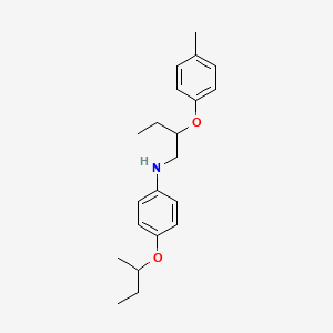 molecular formula C21H29NO2 B1389223 N-[4-(Sec-butoxy)phenyl]-N-[2-(4-methylphenoxy)-butyl]amine CAS No. 1040685-27-5
