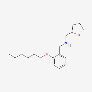 molecular formula C18H29NO2 B1389352 [2-(Hexyloxy)phenyl]-N-(tetrahydro-2-furanylmethyl)methanamine CAS No. 1040692-60-1